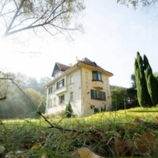 Prodej hotelu a penzionu 217 m² Děčín IX-Bynov, Teplická
