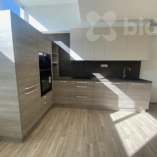 Pronájem bytu 1+kk a garsoniéry 30 m² Vlčková