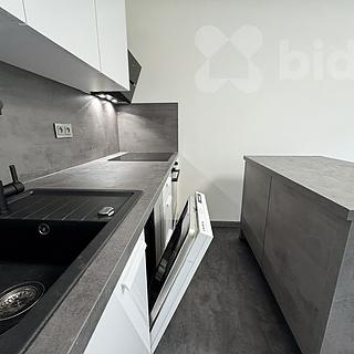 Pronájem bytu 2+kk 42 m² Děčín II-Nové Město, Dvořákova