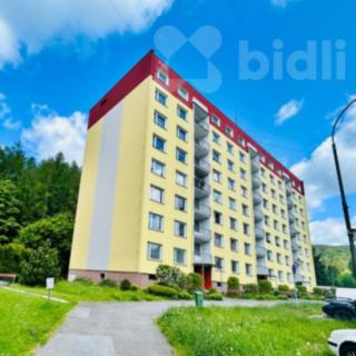 Prodej bytu 2+1 67 m² Desná II, Krátká