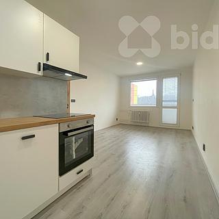 Pronájem bytu 2+kk 51 m² Slaný
