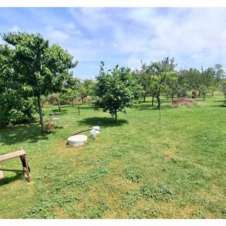 Prodej stavební parcely 1 313 m² Čejkovice