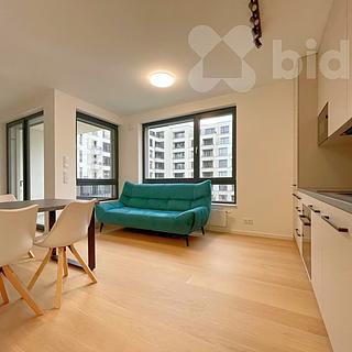 Pronájem bytu 1+kk, garsoniery 46 m&sup2; Praha