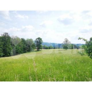 Prodej stavební parcely 6 862 m² Semily Spálov