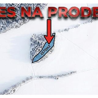 Prodej lesa 2 572 m² Velké Hamry Bohdalovice