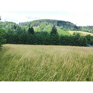 Prodej stavební parcely 1 437 m² Dolní Lánov