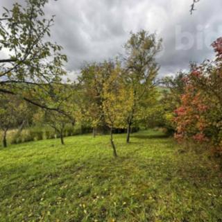 Prodej zahrady 1 872 m² Soběchleby