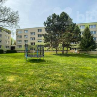 Prodej bytu 2+1 45 m² Olomouc Nové Sady, Českobratrská