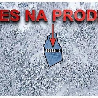Prodej lesa 15892 m&sup2; Velké Hamry