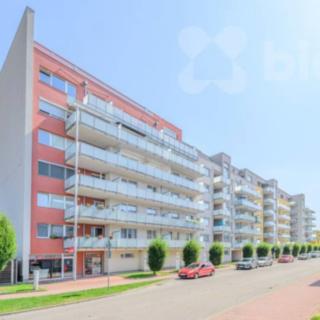 Prodej bytu 2+kk 58 m² České Budějovice 3, Jírovcova