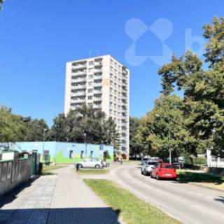 Pronájem bytu 2+1 58 m² České Budějovice 3, Kubatova
