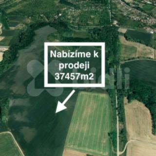Prodej zemědělské půdy 37457 m² Želešice