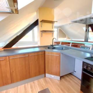 Pronájem bytu 2+kk 66 m² Tábor, Sezimova