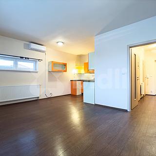 Pronájem bytu 1+kk a garsoniéry 43 m² Tlučná, Pod Školkou