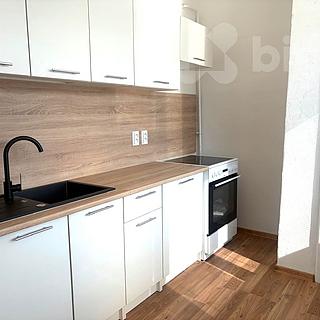 Pronájem bytu 1+1 33 m&sup2; Ostrava