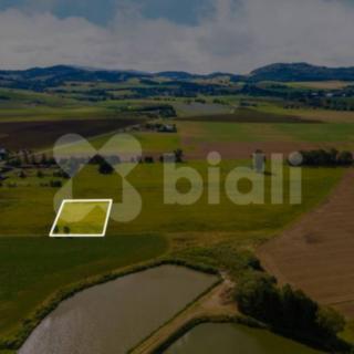 Prodej stavební parcely 2990 m² Nýrsko
