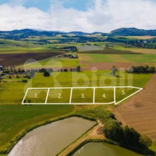 Prodej stavební parcely 17343 m² Nýrsko
