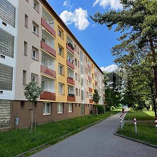 Pronájem bytu 2+kk 44 m&sup2; České Budějovice