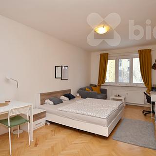 Pronájem bytu 2+1 57 m&sup2; Praha