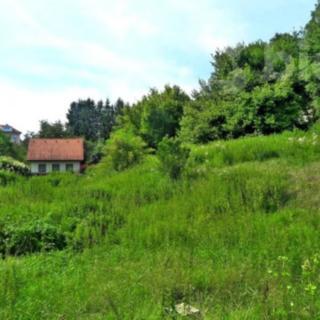 Prodej stavební parcely 1 344 m² Český Krumlov Nádražní Předměstí, Na Svahu