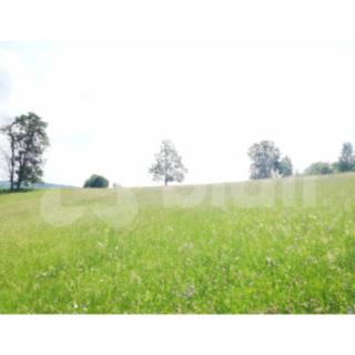 Prodej stavební parcely 1 430 m² Semily Spálov
