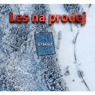 Prodej lesa 6734 m&sup2; Zlatá Olešnice