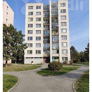 Prodej bytu 1+kk a garsoniéry 24 m² České Budějovice 2, Fr. Ondříčka