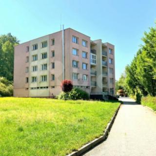 Prodej bytu 1+kk a garsoniéry 29 m² Vidov