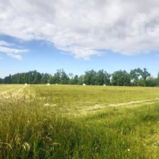 Prodej stavební parcely 800 m² Jívová