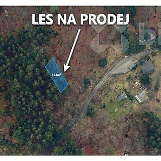 Prodej lesa 354 m² Tanvald Šumburk nad Desnou