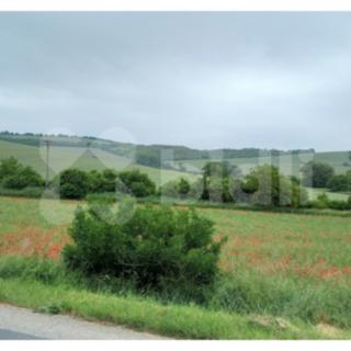 Prodej stavební parcely 5343 m² Klobouky u Brna