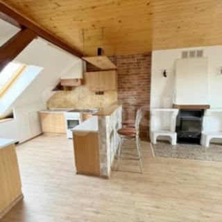 Pronájem bytu 1+kk a garsoniéry 44 m² České Budějovice 5, Josefa Hory