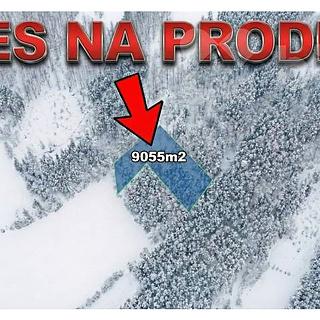 Prodej lesa 9 055 m² Velké Hamry Bohdalovice