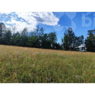 Prodej stavební parcely 1 437 m² Dolní Lánov