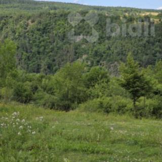 Prodej stavební parcely 1 668 m² Zbečno Újezd nad Zbečnem