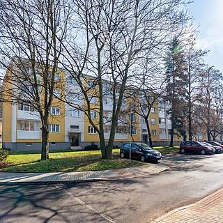 Pronájem bytu 2+1 55 m&sup2; Bílina