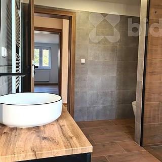 Pronájem bytu 2+1 75 m² Písek