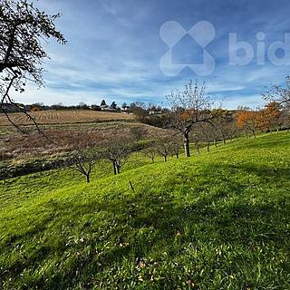 Prodej zahrady 901 m² Bezuchov