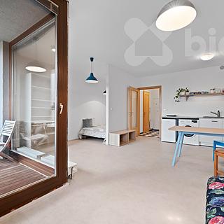 Pronájem bytu 1+kk a garsoniéry 38 m² Praha Podolí, K sídlišti