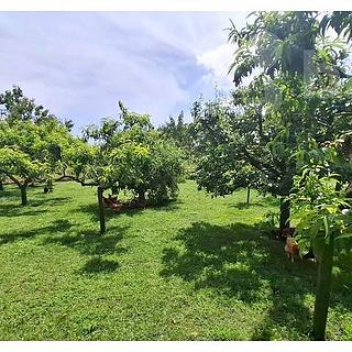 Prodej stavební parcely 1 313 m² Čejkovice