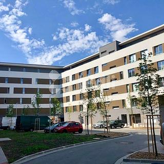 Pronájem bytu 1+kk a garsoniéry 32 m² Pardubice Bílé Předměstí, Husova