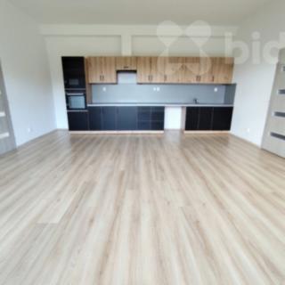 Pronájem bytu 3+kk 93 m² Louny, Husova