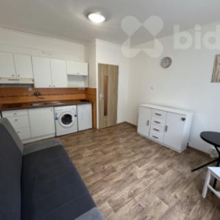 Pronájem bytu 1+kk a garsoniéry 21 m² Ústí nad Labem, Novoveská