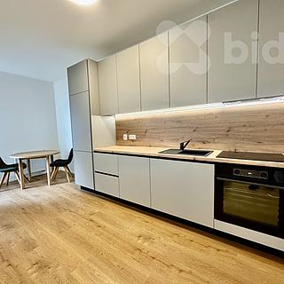 Pronájem bytu 1+kk, garsoniery 47 m² Brno