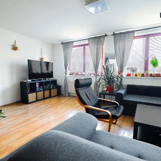 Prodej rodinného domu 135 m² Brno Husovice, Dukelská třída