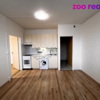 Pronájem bytu 1+1 36 m² Žatec, V Zahradách