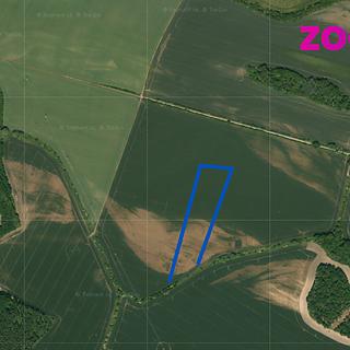 Prodej zemědělské půdy 51997 m² Křečkov