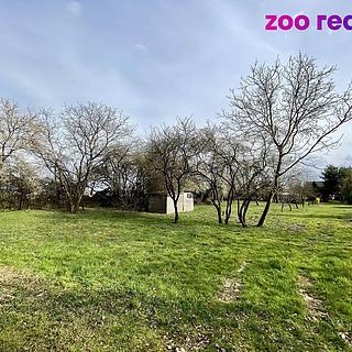 Pronájem zahrady 2586 m&sup2; Křičeň