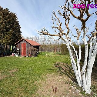 Prodej zahrady 400 m² Otvice