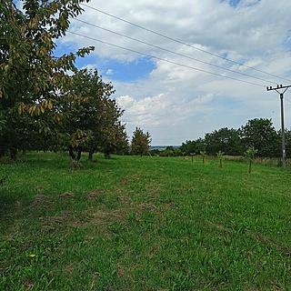 Prodej stavební parcely 2 668 m² Lhenice